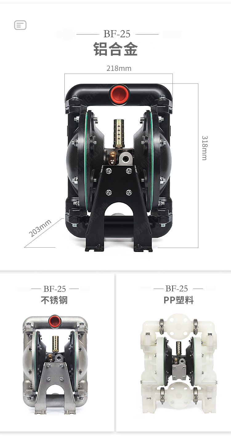 BF型大流量（liàng）气动隔膜泵(图（tú）6)